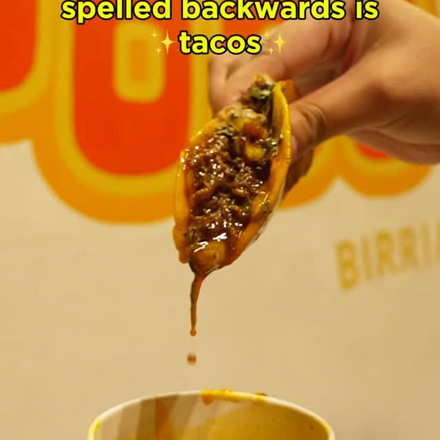Quesa Birria Taco dripping into consomé